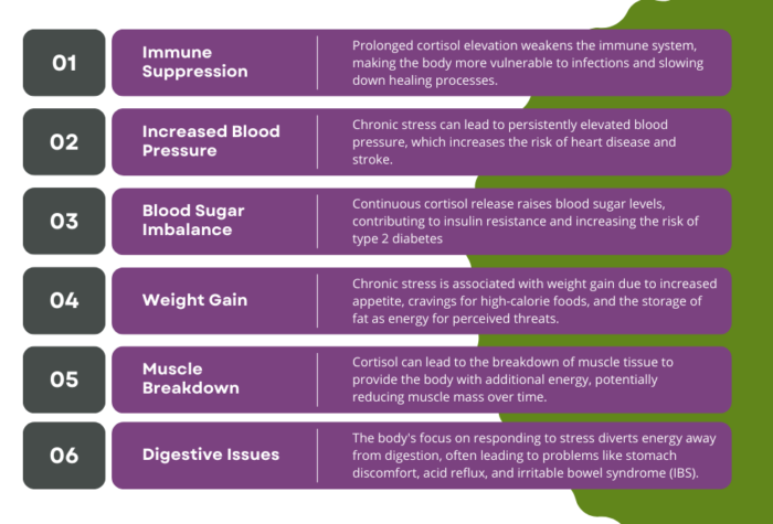 Sarah Hormachea Diabetes Care and Education Chronic Stress Response